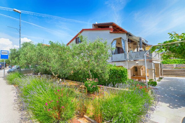 Terrain de l’hébergement 