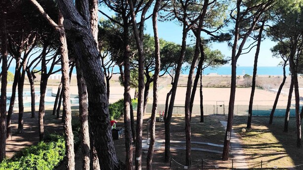 A pathway lined with tall trees leading to a beach. - Holiday apartment near the sea (Lido di Jesolo)