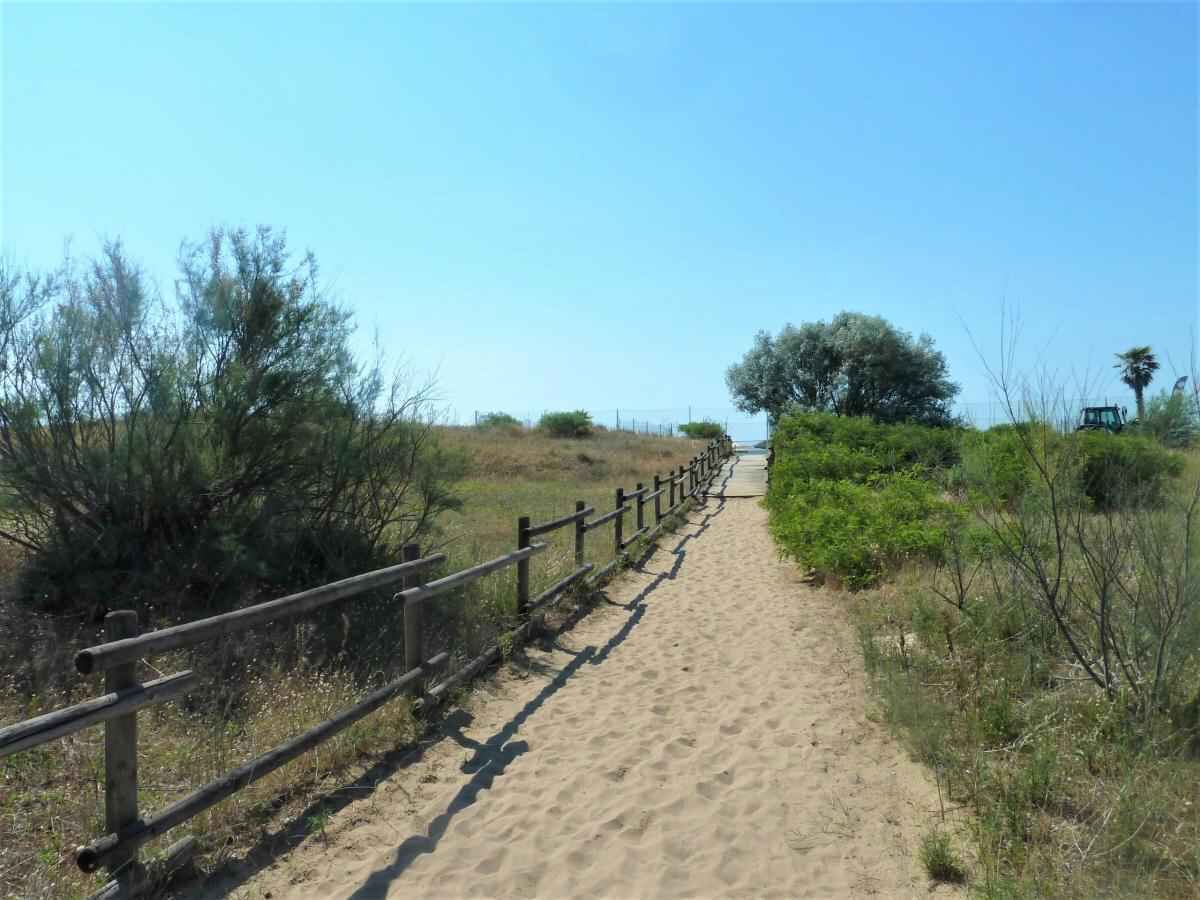 A sandy path with a wooden fence, surrounded by vegetation and a clear sky.