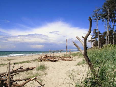 ビーチ. Holiday Apartment "Fewo 31 - Halbinsel Darss - Ostsee
" with Private Terrace, Shared Garden & Wi-Fi