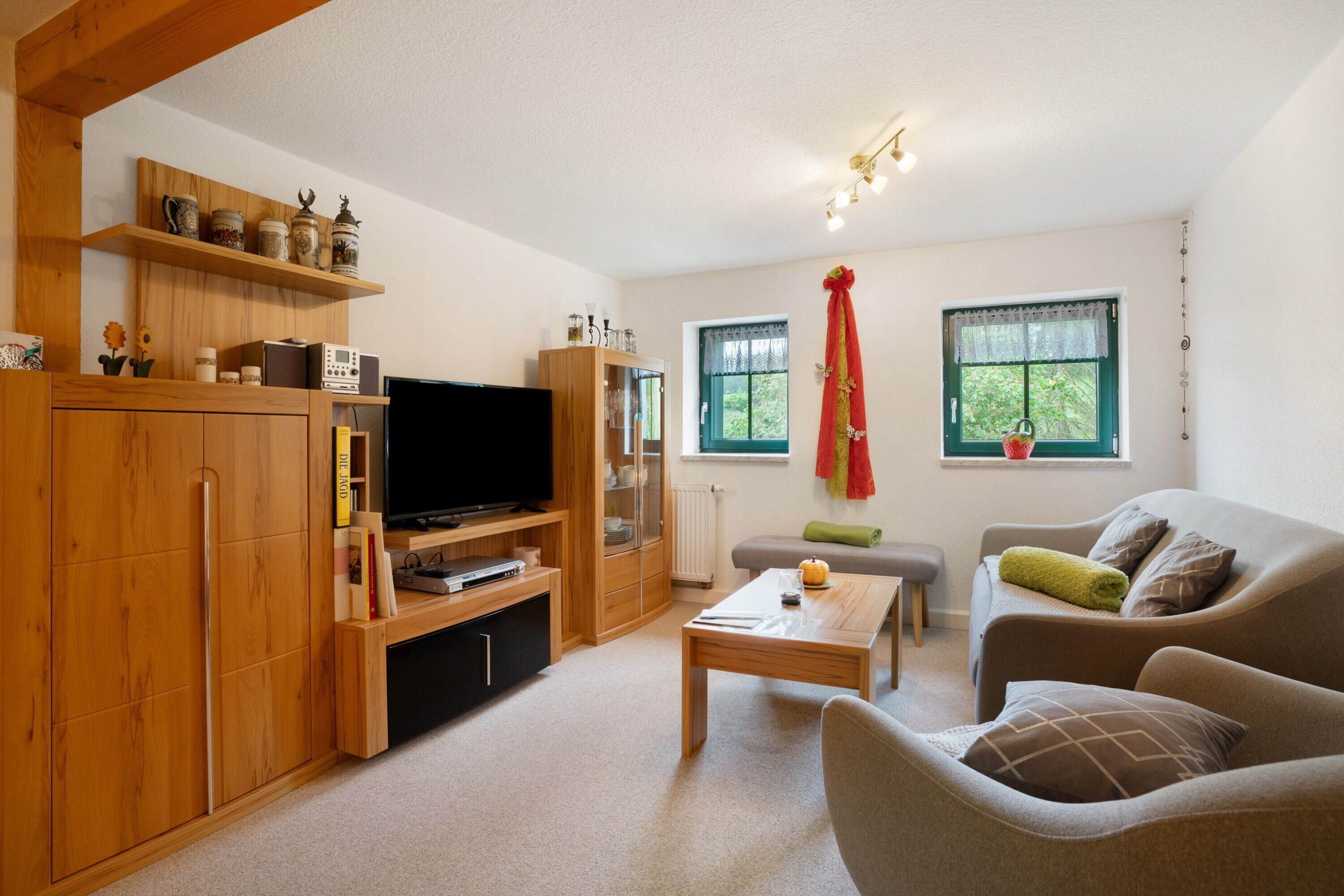 Een televisie en een dvd-speler