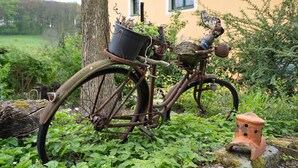 Una bicicleta rústica con cesta y olla, estacionada cerca de un árbol y una casa con ventana.