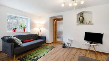 A living room with a grey sofa, a green rug, a TV on a stand, a wooden floor, and a window with plants.