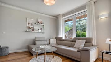 TV, fireplace, DVD player