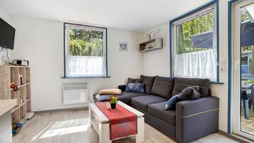 Televisio, pöytätennispöytä