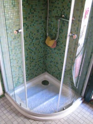 Chuveiro, secador de cabelo, toalhas de banho 