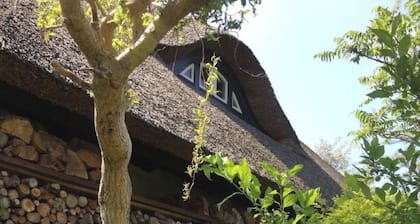 Ferienwohnung 'Koras Dachkammer' mit privatem Garten