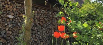 Holiday Apartment 'Koras Dachkammer' with Private Garden