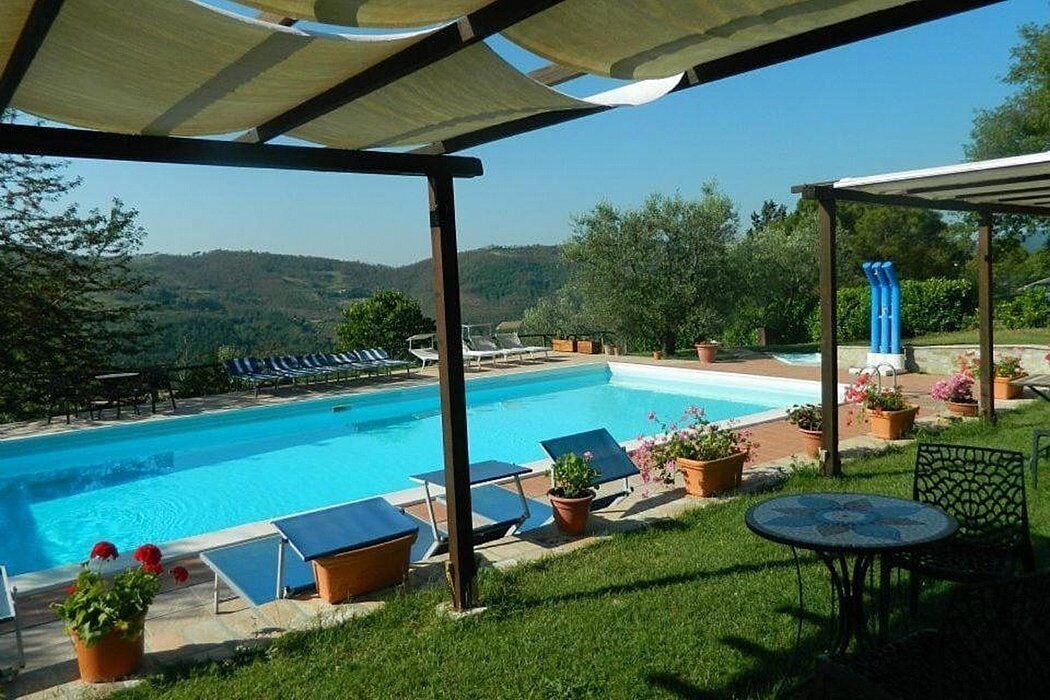Une piscine entourée d’un patio couvert, agrémentée de chaises longues et de plantes en pot.