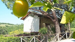 A rustic building with a stone wall and a white facade, surrounded by lush greenery and a tree with a ripe green fruit. - Casa Brina B: A characteristic and welcoming two-story independent house made of stone, with Free WI-FI. (Monte Santa Maria Tiberina)