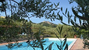 A swimming pool surrounded by olive trees, with a view of a hilltop building in the background. - Casa Brina B: A characteristic and welcoming two-story independent house made of stone, with Free WI-FI. (Monte Santa Maria Tiberina)