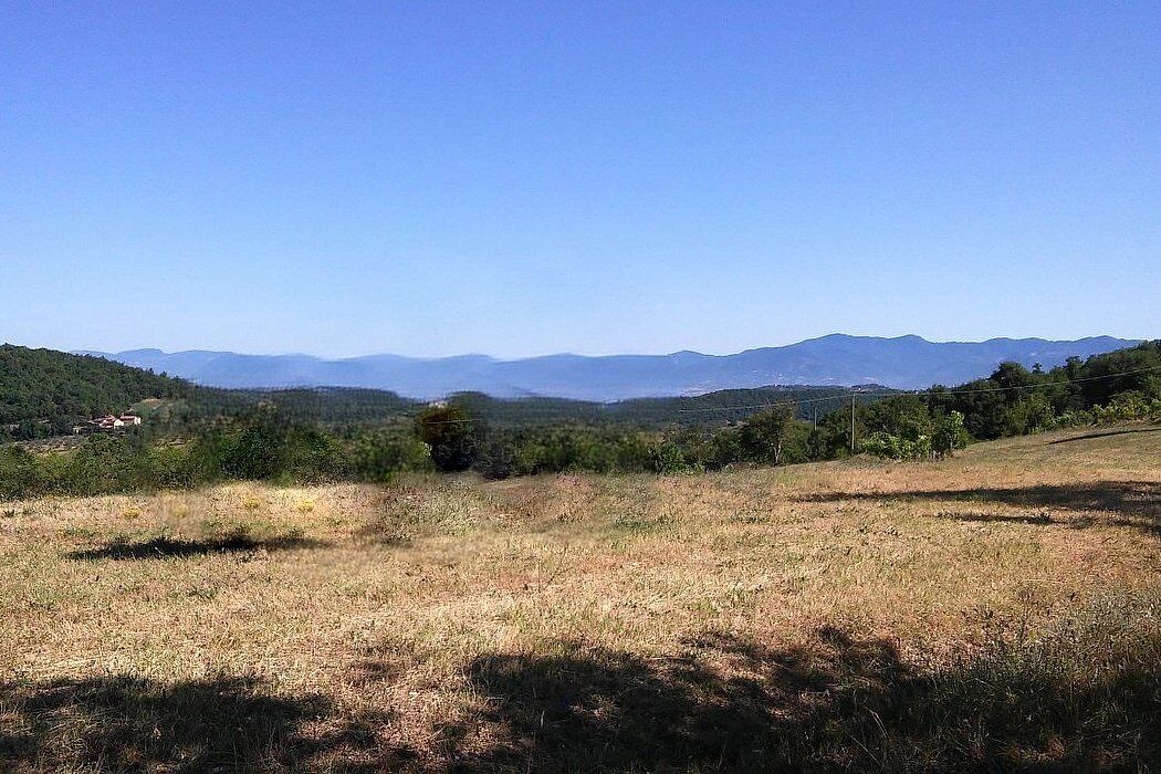A rural landscape with a clear sky, distant mountains, and a grassy field.