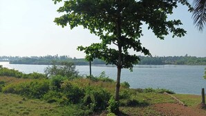 A view of a lake with a tree in the foreground and a distant shoreline. - Blue Lagoon Homestay (Mangaluru)