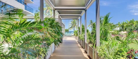 Une allée couverte, dotée d’un plancher en bois et bordée de jardinières remplies de plantes tropicales, mène à un bâtiment aux grandes fenêtres.
