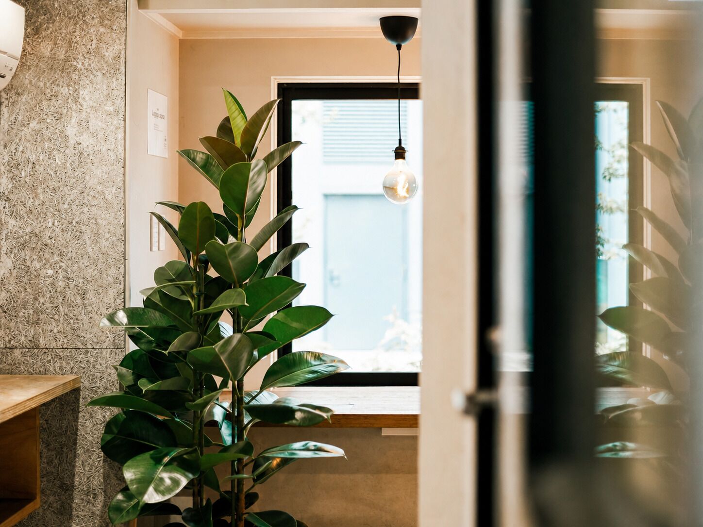 A room with a large green plant, a hanging light fixture, and a door leading to another space.