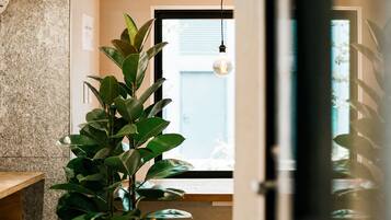 A room with a large green plant, a hanging light fixture, and a door leading to another space.