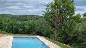 A rectangular swimming pool with a pebble border, surrounded by a well-maintained lawn and dense greenery.