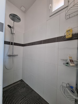 Ducha, secador de pelo, toallas, papel higiénico