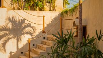 A staircase leading to a building with palm trees and a concrete pathway.