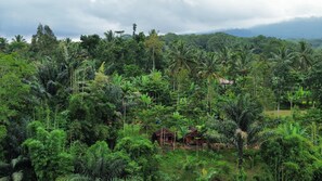 Blick auf die Umgebung