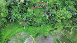 A lush green landscape with terraced fields and a small building surrounded by dense vegetation. - Serenity Lodge Tetebatu Lombok (Tetebatu)