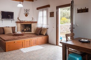 TV, lareira, DVD player, livros