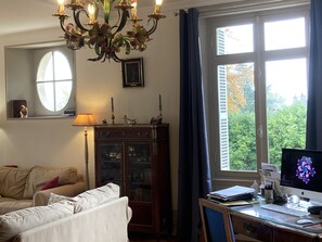 TV connectée, cheminée, livres, chaîne hi-fi