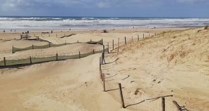 Appart de Plage à Moliets Entre Biarritz et Bordeaux