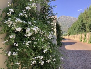 Exterior - La Paradise Franschhoek (Franschhoek)