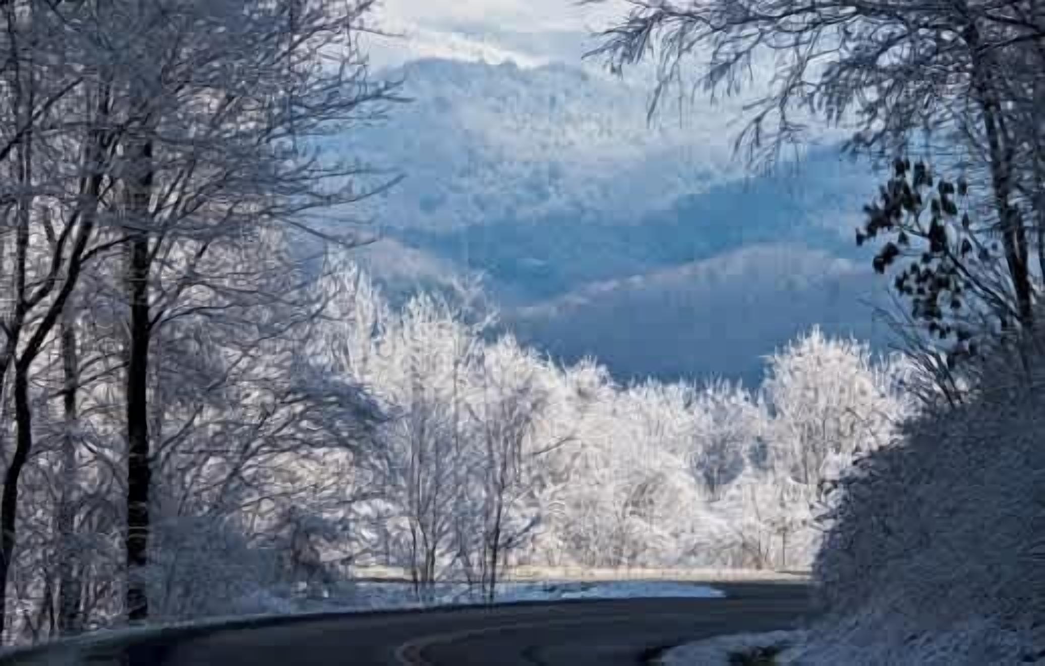 Paisaje invernal con un camino sinuoso que atraviesa un bosque de árboles cubiertos de nieve.