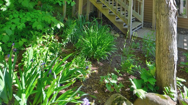 A wooden staircase leading to a second-story deck surrounded by lush greenery and rocks. - Two-Level Forest Retreat | Near Bayfield (Bayfield)