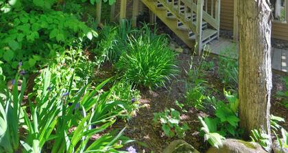 Two-Level Forest Retreat | Near Bayfield