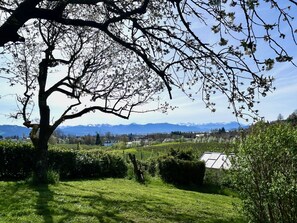 Property grounds - Ferienwohnung Weinberg Idyll II - Panoramablick zum Bodensee (Lindau (Bodensee))