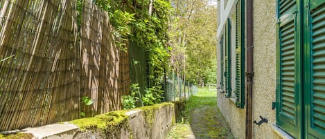 A narrow cobblestone path flanked by a bamboo fence and a stone wall, leading to a building with green shutters.