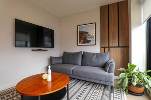 Fernseher, Arbeitsbereiche