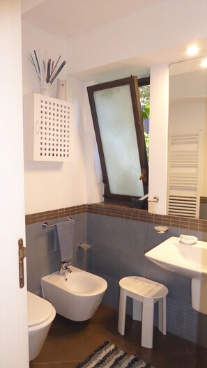 Hair dryer, towels, soap, toilet paper - Emilia's Liberty (Palermo)