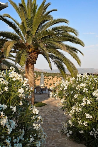 Casa Rural El Olivar B&B