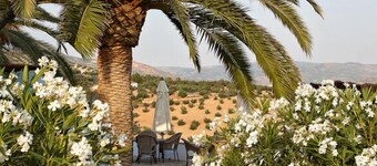 Casa Rural El Olivar B&B