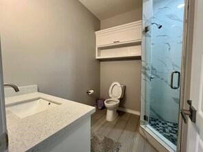 Shower, hair dryer, towels