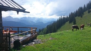 Wandern