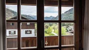 Comfort appartement | Uitzicht op de bergen