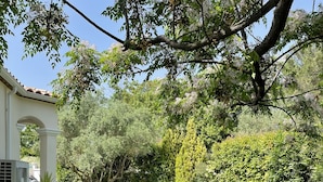 A well-maintained lawn with a white fence, a large tree, and a building with a tiled roof. - Belle Villa Familiale Tout Confort à 15 mn des Plages (Cournonterral)