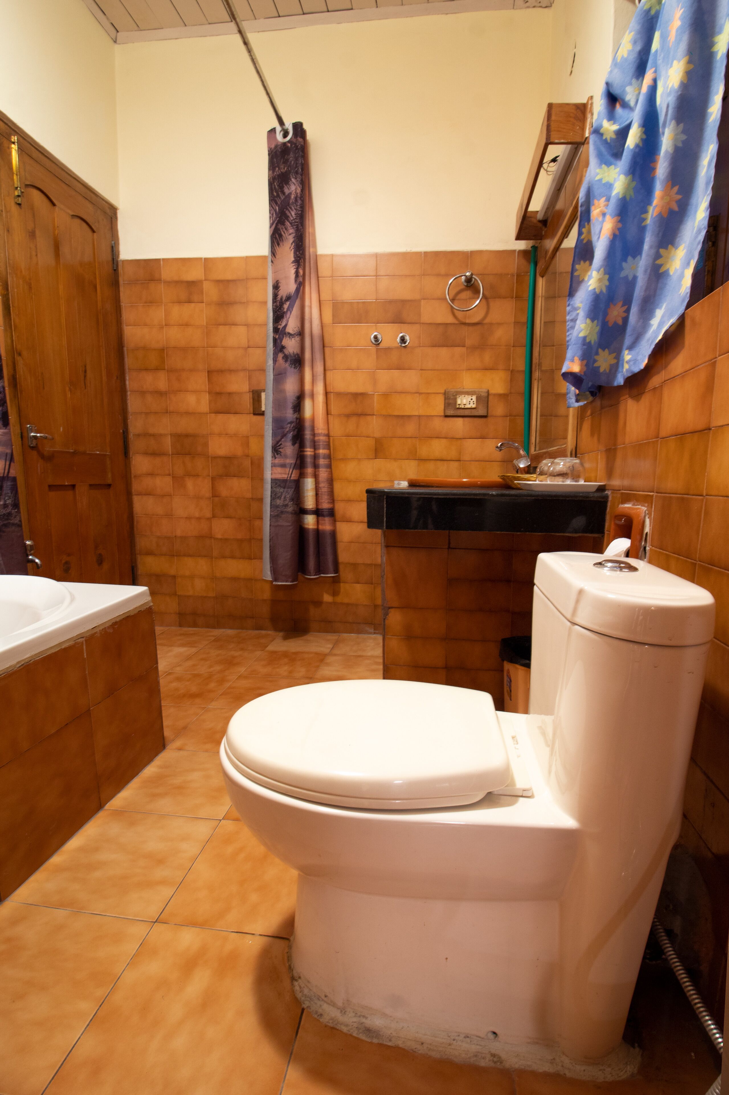 A bathroom with a toilet, sink, and shower curtain.