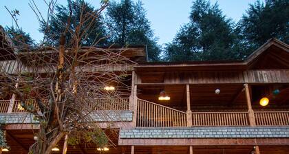 Hotel Negis Mayflower