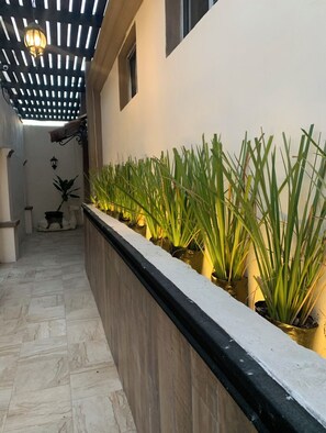 Terrace/patio - BLACK TREE HOTEL BOUTIQUE (Mazatlán)