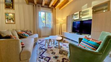 Télévision, cheminée, livres