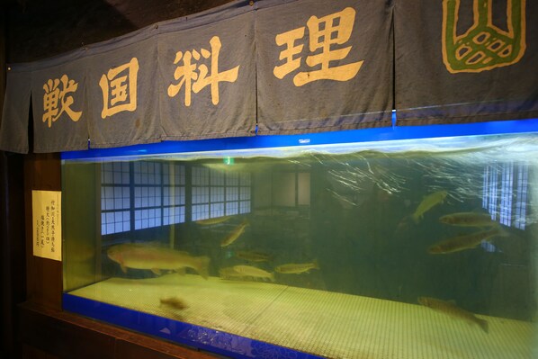 Un acuario con diversas especies de peces, un marco de madera y un letrero con texto.