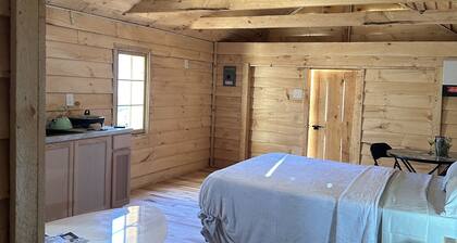 Gggs cabin, enjoy your time in the woods by the salmon river in Williamstown NY