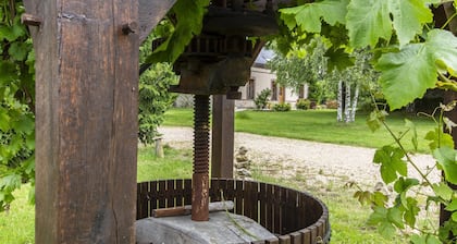 Grande maison familiale avec jardin, salle de jeux, proche de Tours et Blois.
