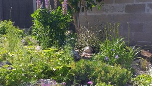 Un jardín con diversas plantas y flores, un muro de piedra y un árbol.